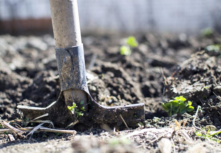 Schep in de grond om te beginnen aan gatgraven.